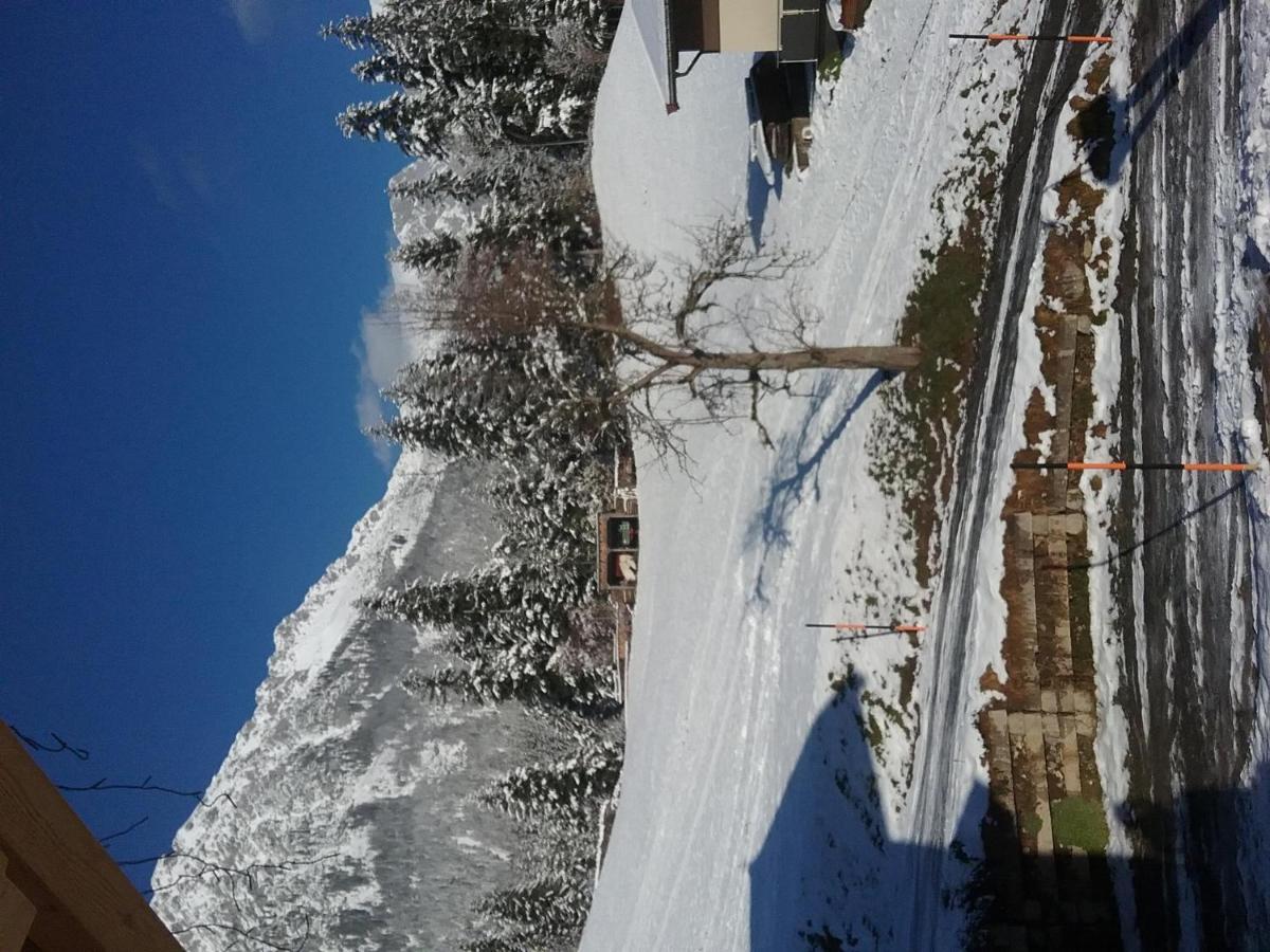 Apartamento Bauernhof Vordergrub Scheffau am Wilden Kaiser Exterior foto