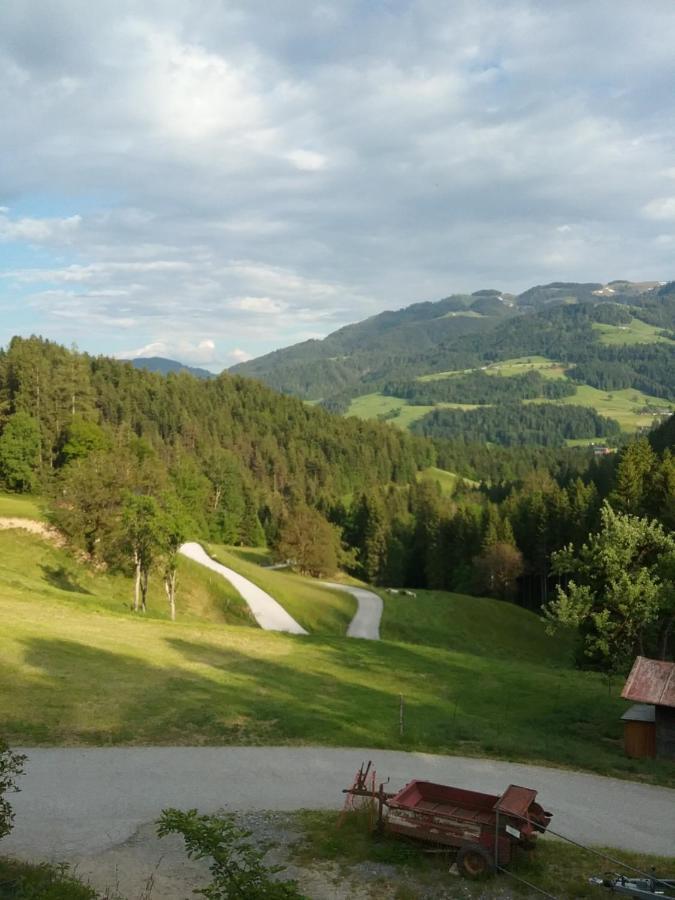 Apartamento Bauernhof Vordergrub Scheffau am Wilden Kaiser Exterior foto